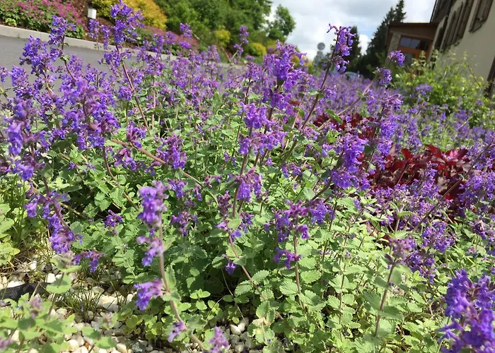 Hotel Rezidence Golf Marianske Lazne