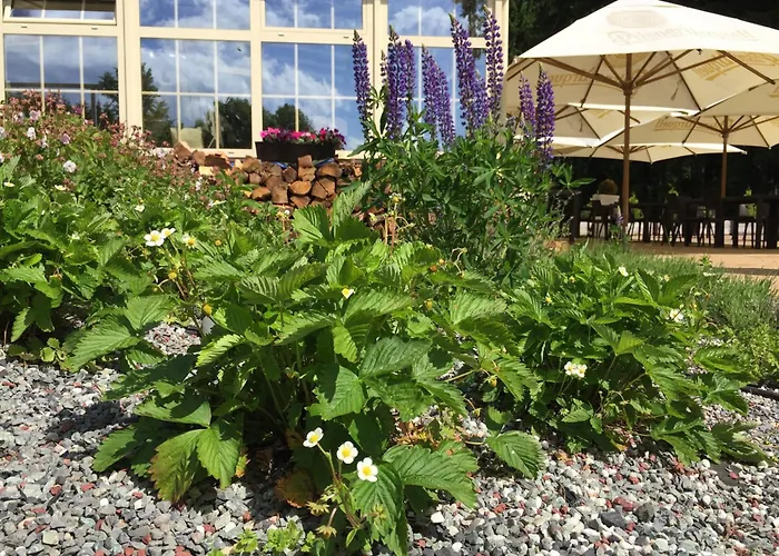 Rezidence Golf Hotel Mariánské Lázně